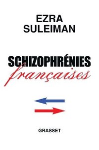 bokomslag Schizophrénies françaises