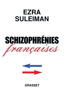 bokomslag Schizophrénies françaises