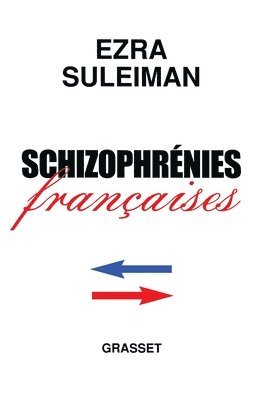 bokomslag Schizophrénies françaises