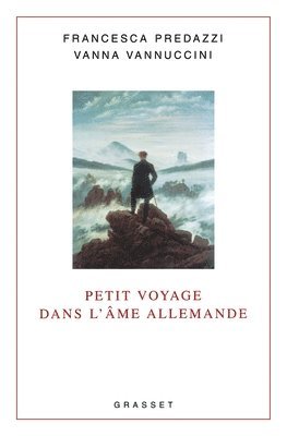 bokomslag Petit voyage dans l'âme allemande