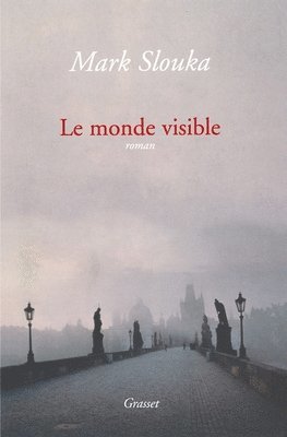 bokomslag Le monde visible