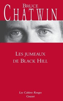 bokomslag Les jumeaux de Black Hill