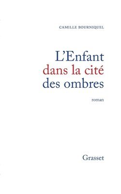 bokomslag L'enfant dans la cité des ombres