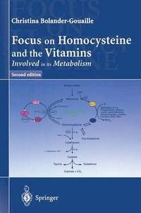 bokomslag Focus on Homocysteine and the Vitamins