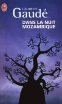 bokomslag Dans la nuit Mozambique