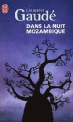 Dans la nuit Mozambique 1