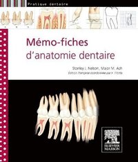 bokomslag Mmo-fiches d'anatomie dentaire