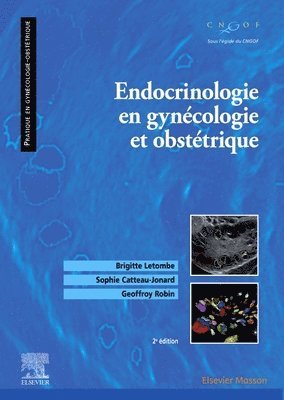 bokomslag Endocrinologie en gyncologie et obsttrique