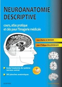 bokomslag Neuroanatomie descriptive