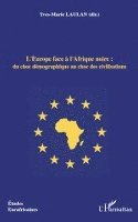 Laulan Yves Marie - L'Europe face à l'Afrique noire, Häftad