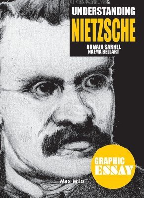 bokomslag Understanding Nietzsche