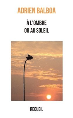 bokomslag  l'ombre ou au soleil