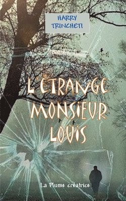 bokomslag L'étrange Monsieur Louis