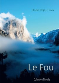 bokomslag Le Fou