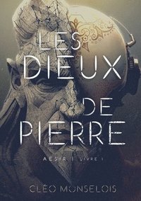 bokomslag Les Dieux de Pierre