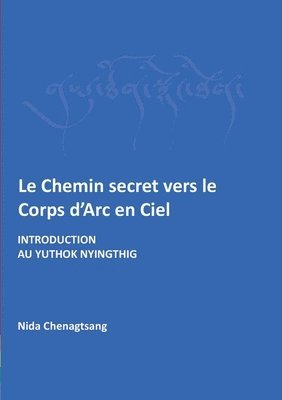 Nida Chenagtsang, Sorig Khang France - Chemin secret vers le corps d'arc en ciel, Häftad