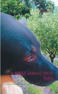 Il n'est jamais trop tard