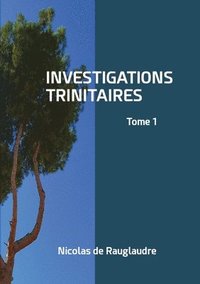 bokomslag Investigations trinitaires
