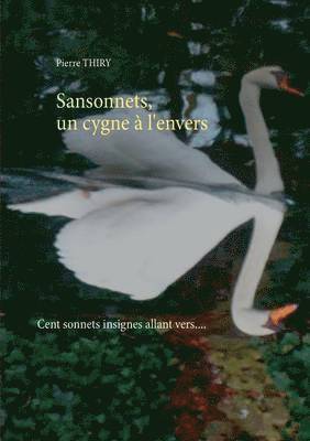 Sansonnets, un cygne  l'envers 1