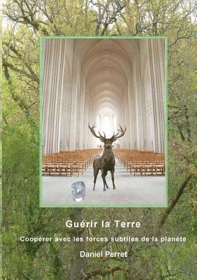 bokomslag Guérir la Terre
