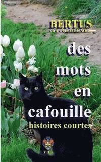 bokomslag Des Mots en Cafouille