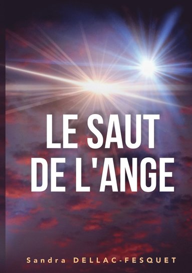 bokomslag Saut de l'Ange
