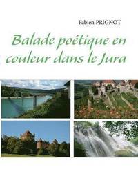 bokomslag Balade potique en couleur dans le Jura