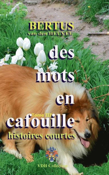 bokomslag Des mots en cafouille III