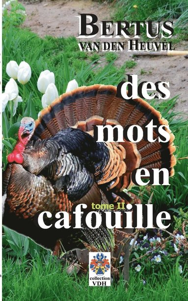 bokomslag Des mots en cafouille II