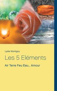 bokomslag Les 5 Elements