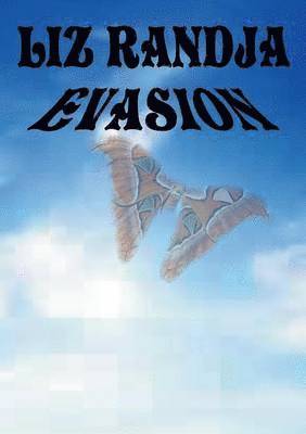 Evasion 1