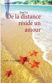 bokomslag De la distance rside un amour