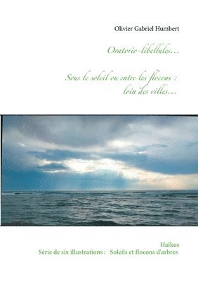 Oratorio-libellules... 1