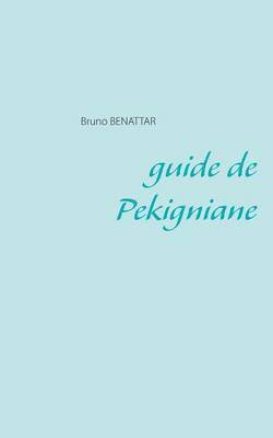 guide de Pekigniane 1