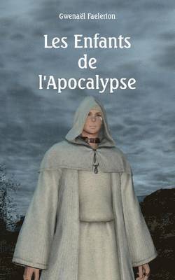 bokomslag Les enfants de l'Apocalypse