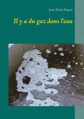 bokomslag Il y a du gaz dans l'eau