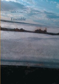 bokomslag Ensemble
