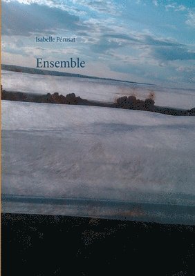 Ensemble 1