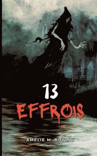 bokomslag 13 Effrois