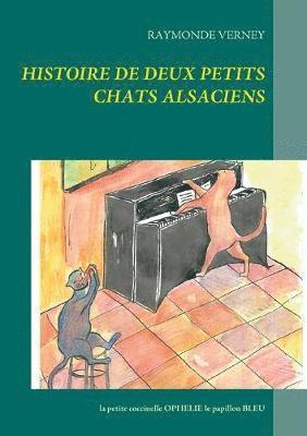 bokomslag Histoire de deux petits chats alsaciens