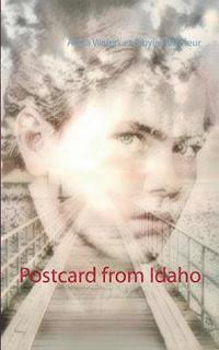 bokomslag Postcard from Idaho