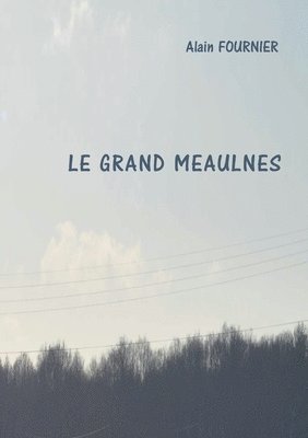 bokomslag Le grand Meaulnes