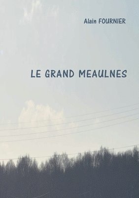Alain Fournier - grand Meaulnes, Häftad