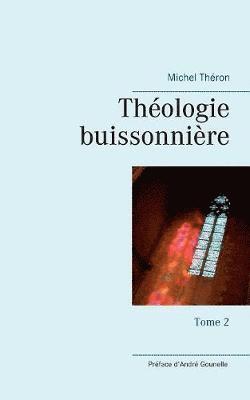 bokomslag Théologie buissonnière