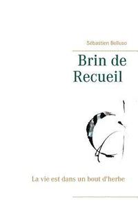 bokomslag Brin de Recueil