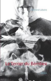 bokomslag Le Terrier du Bembex