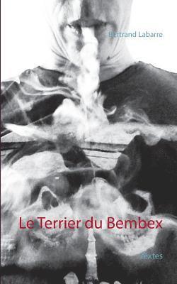 bokomslag Terrier du Bembex