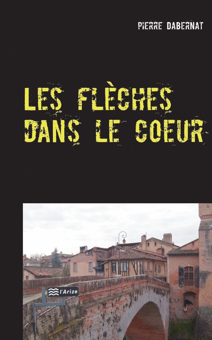 Pierre Dabernat, pierre Dabernat - Les flèches dans le coeur, Häftad