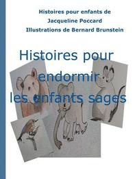 bokomslag Histoires pour endormir les enfants sages