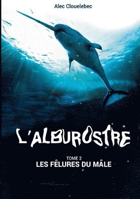 bokomslag L'alburostre 2
